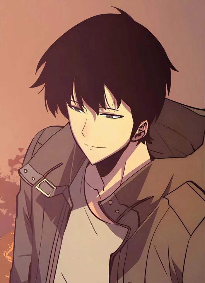 Sung Jin Woo pfp được yêu thích bởi cộng đồng