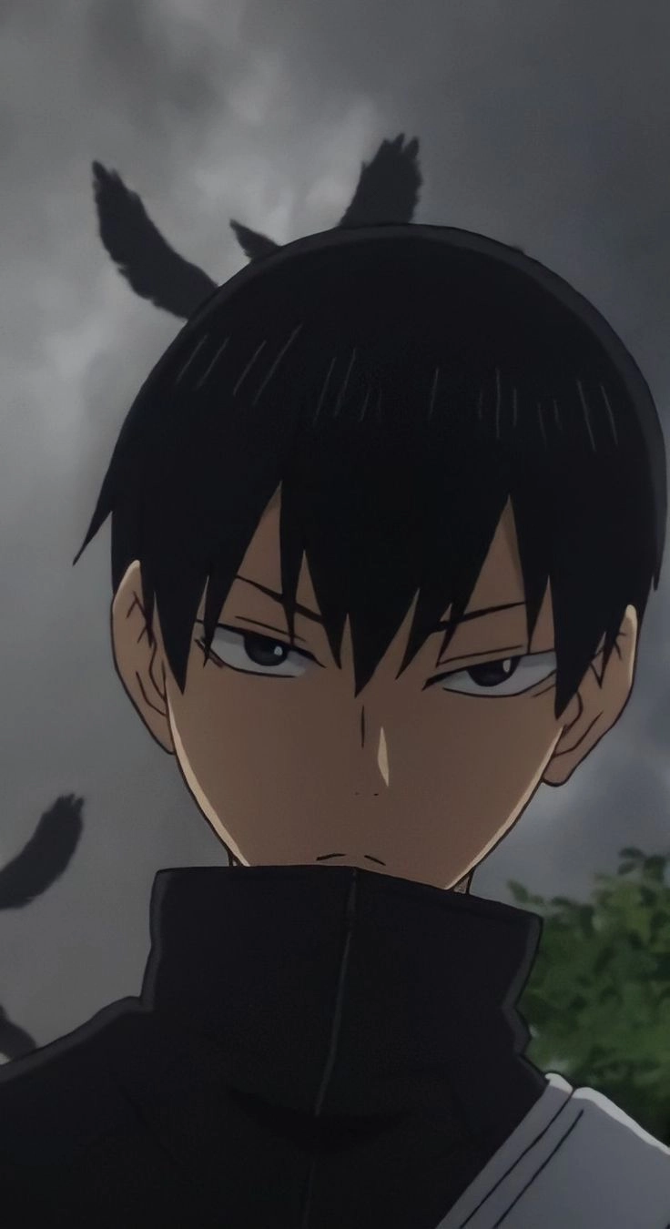 Kageyama height chiều cao lý tưởng cho vị trí chuyền hai