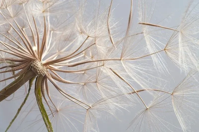 Tạo dấu ấn với khung hình trên instagram dễ dàng