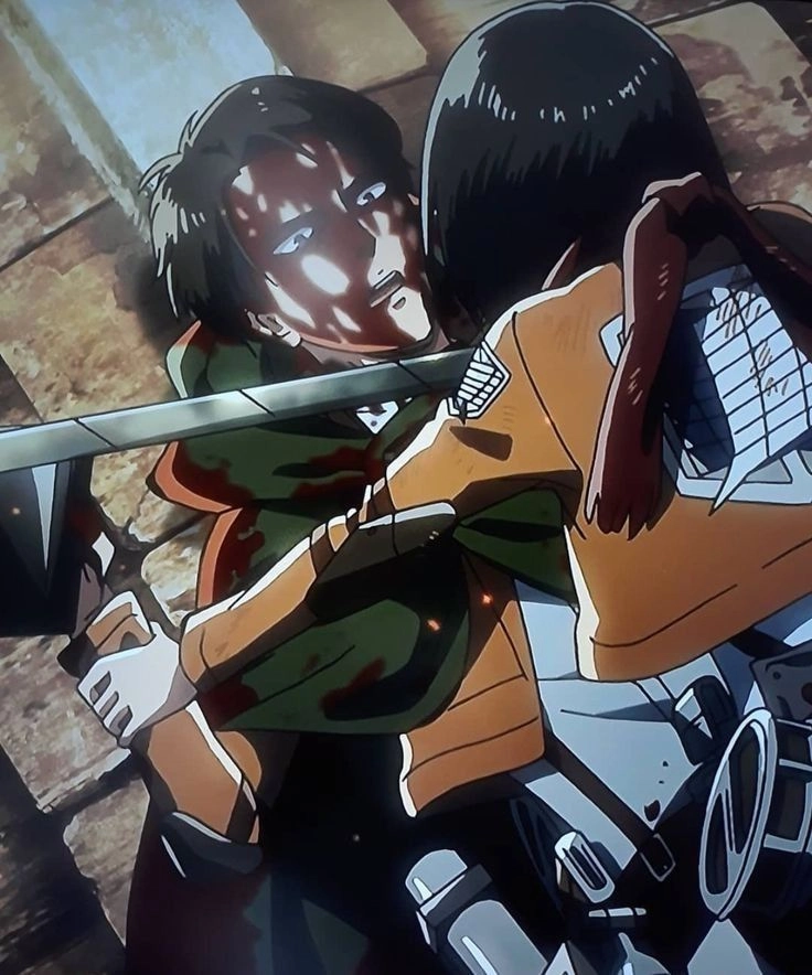 Levi và Mikasa đều là hậu duệ Ackerman