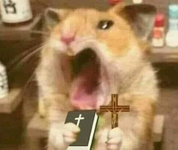 Phản ứng mạnh với meme chuột cầm thánh giá