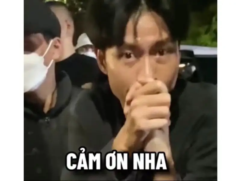 Bộ sưu tập ảnh cảm ơn meme siêu ấm lòng