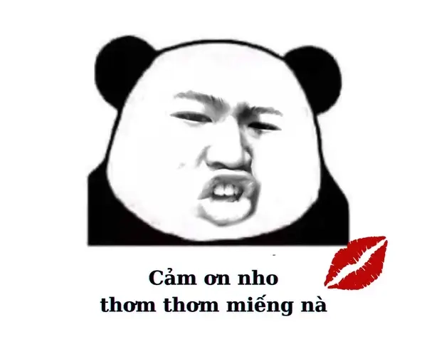 Thấy là phải thả tim ngay với meme gấu trúc cảm ơn