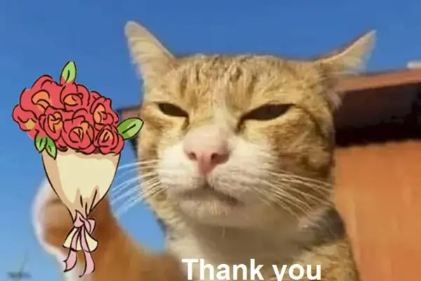 Nhẹ nhàng và tinh tế như meme cảm ơn hoa hồng