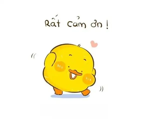 Dùng gif cảm ơn meme để tăng tương tác tức thì