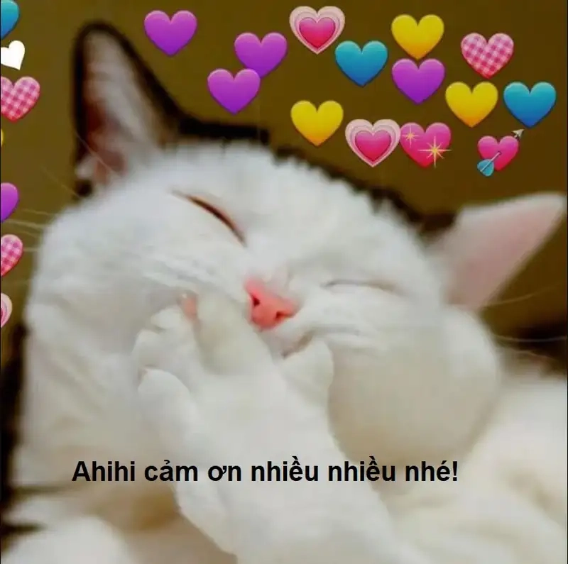 Hài xỉu với combo ảnh meme hài cảm ơn cực bắt trend