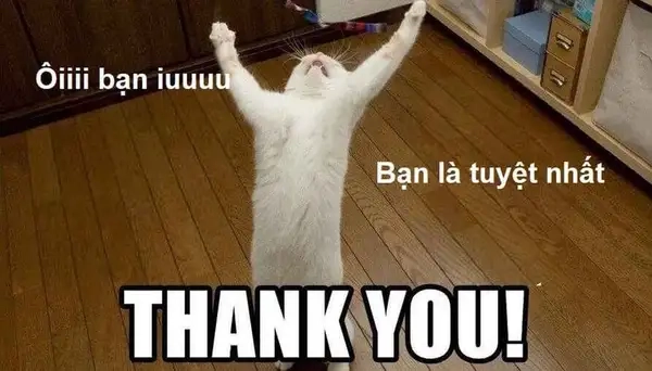  Những ảnh meme cảm ơn hài hước khiến ai cũng bật cười 