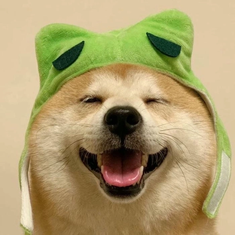 Gương mặt đáng yêu đỉnh cao của meme chó cười khiến ai cũng tan chảy