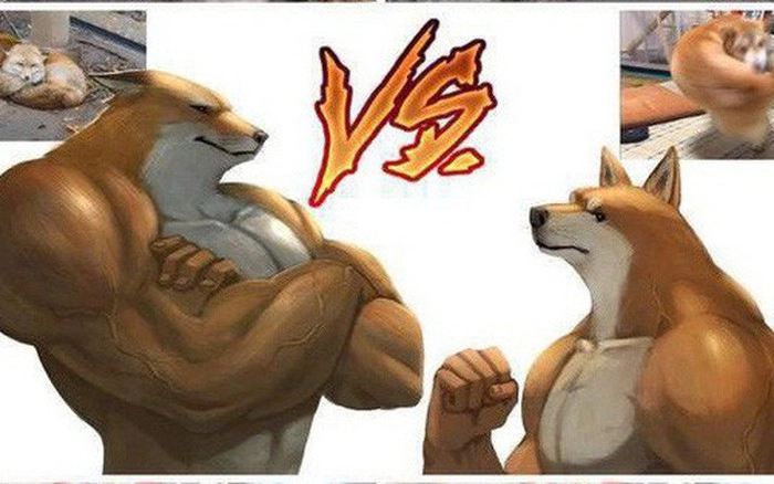 Khi sự giận dữ cũng trở nên đáng yêu nhờ meme chó tức giận