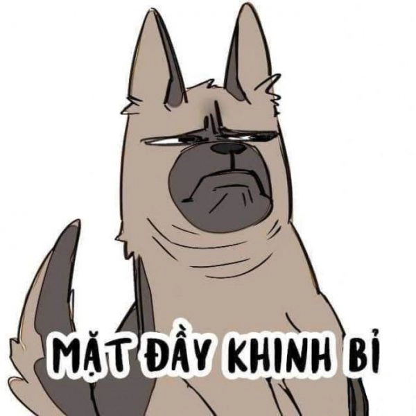 Góc liếc nhẹ nhàng của meme chó liếc khiến bạn không kịp phản ứng