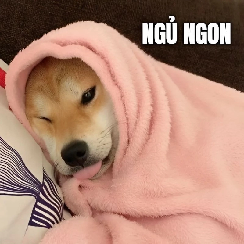 Ai đó cần một cái ôm từ ngủ ngon meme không nhỉ