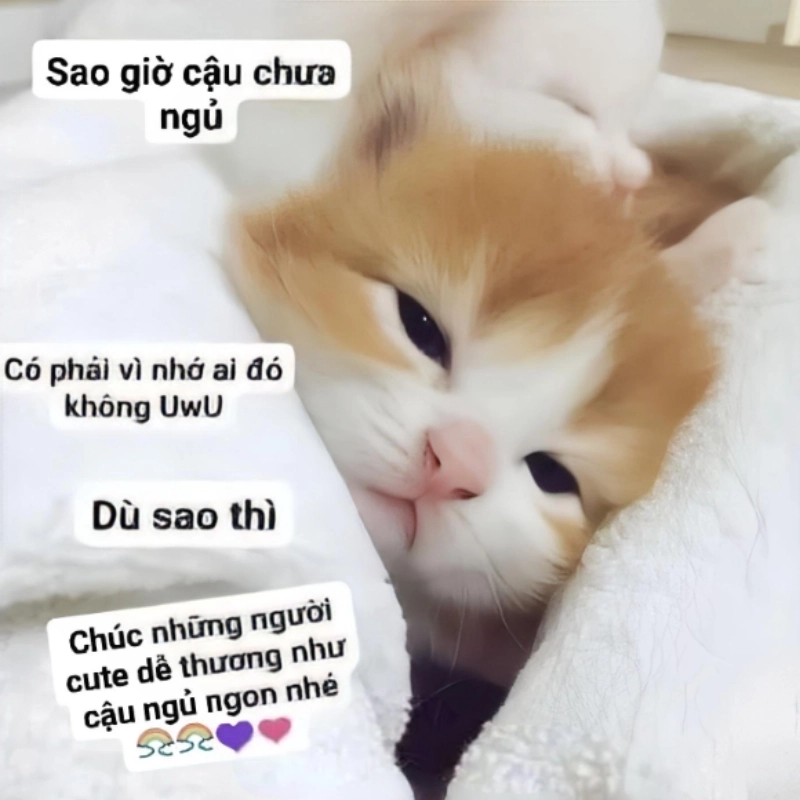Sến như crush gửi meme chúc ngủ ngon sến mỗi tối