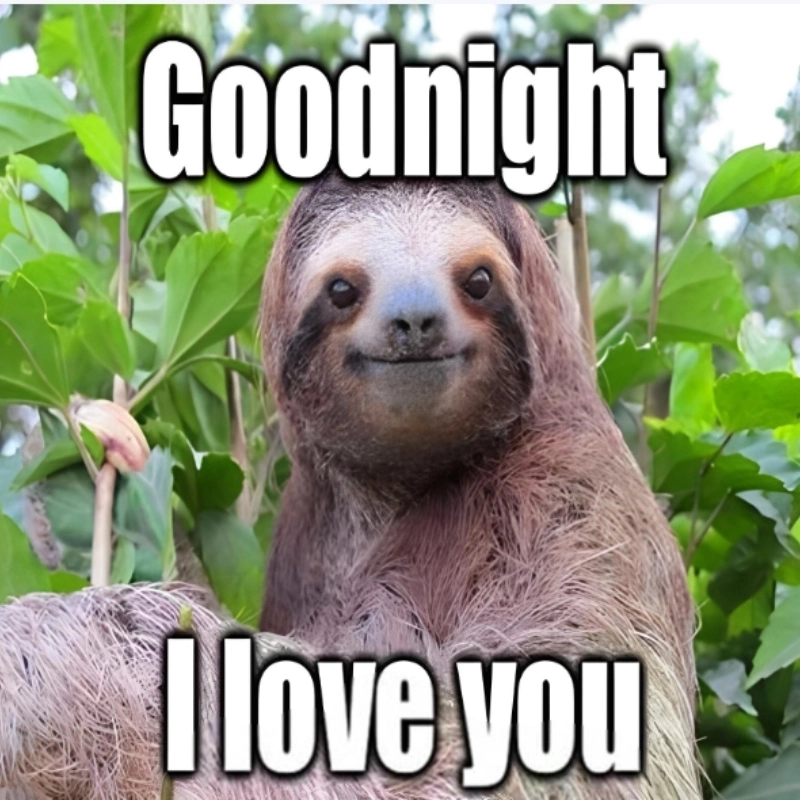 Đêm nay ai nhận được meme chúc ngủ ngon bựa là biết ai thương rồi đó