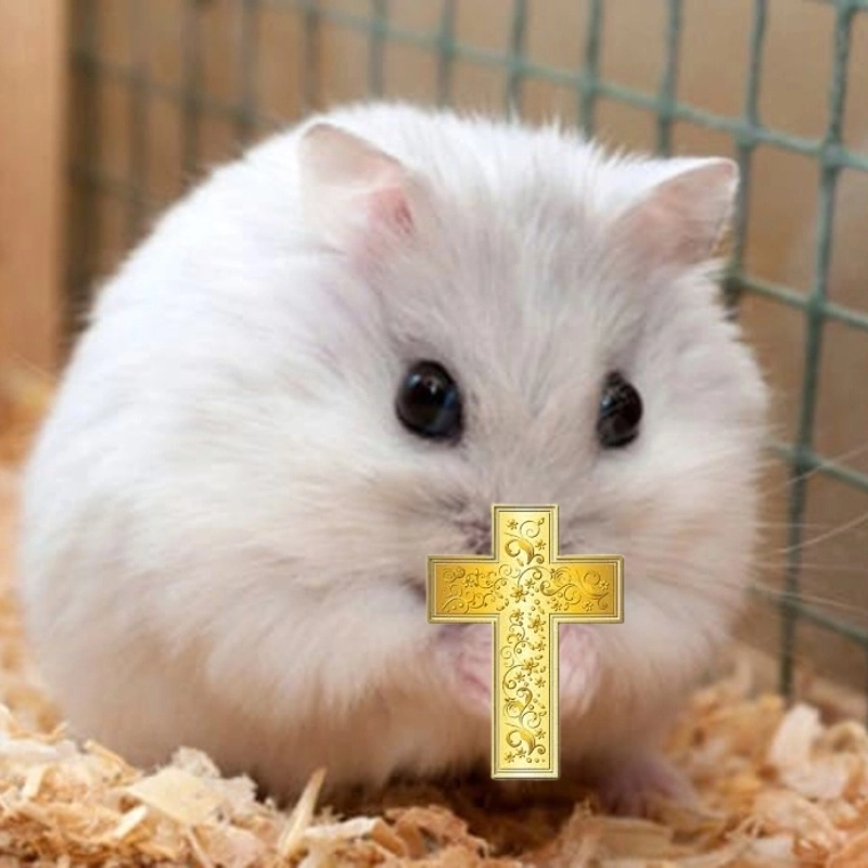 Nghiêm túc không nổi với meme chuột thánh giá