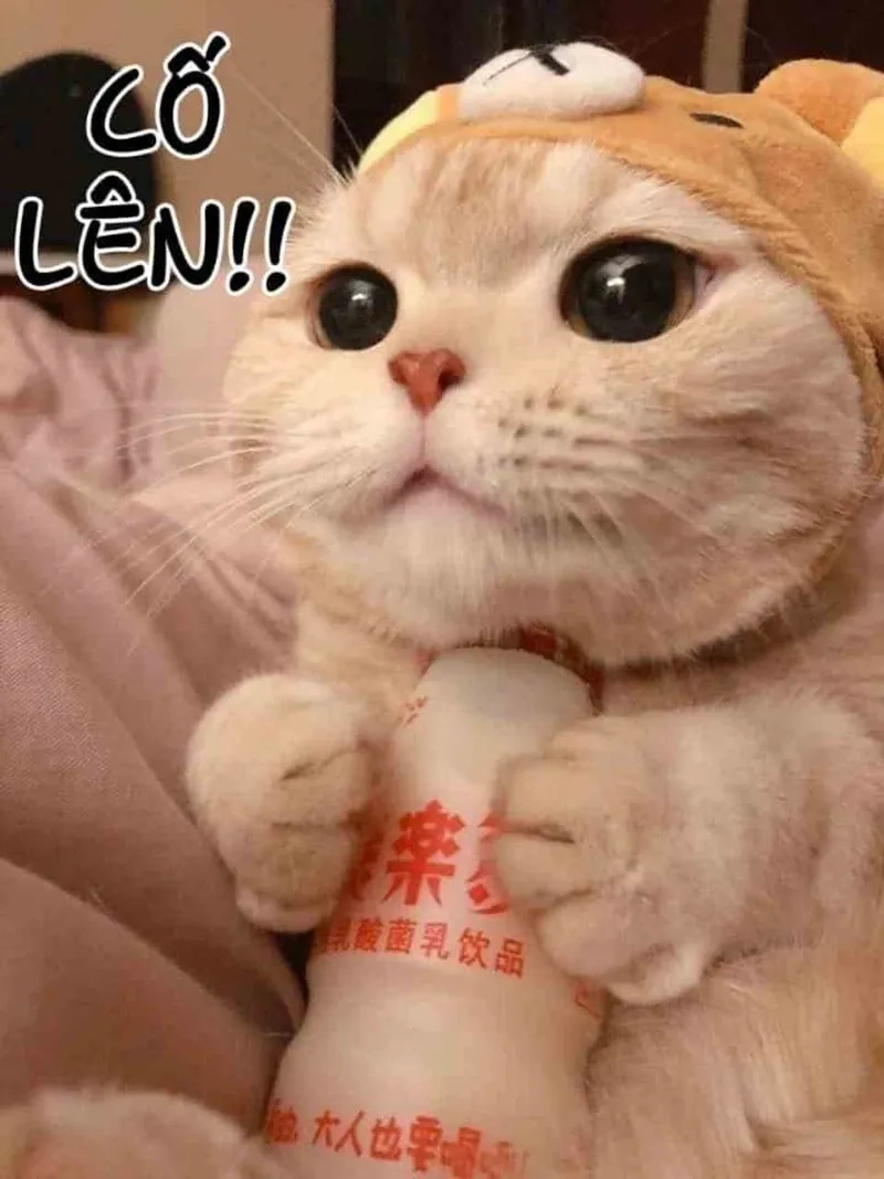 Khi cần nguồn cảm hứng thì nói anh ơi cố lên