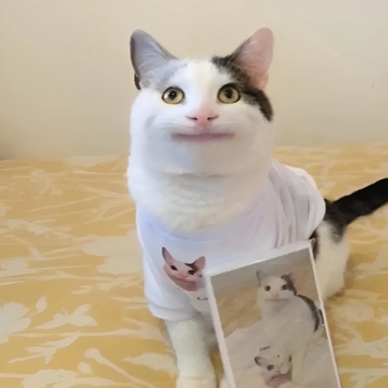 Không vui lắm nhưng vẫn phải thả nhẹ một meme cười gượng