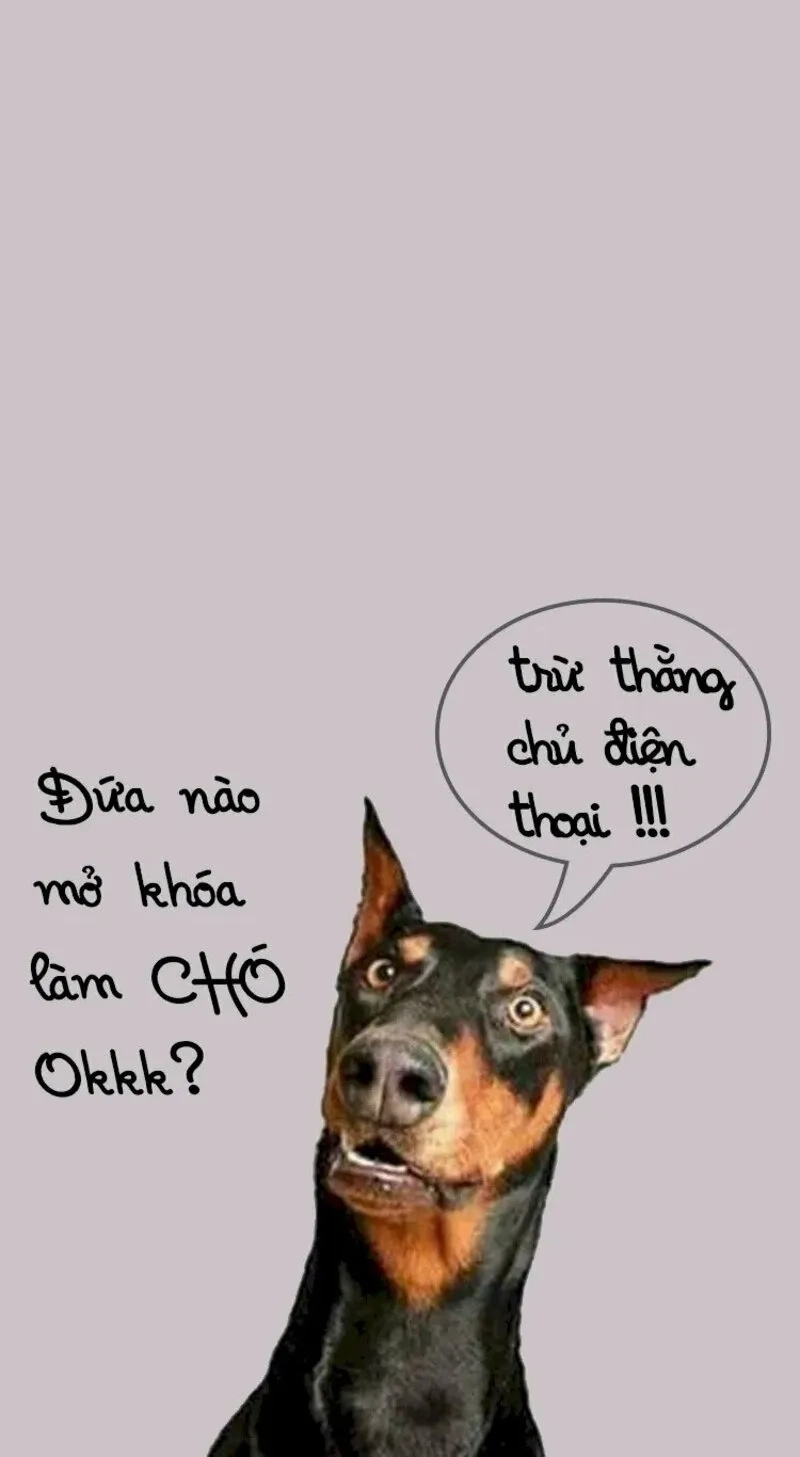 Trang trí điện thoại với hình nền meme cute độc quyền