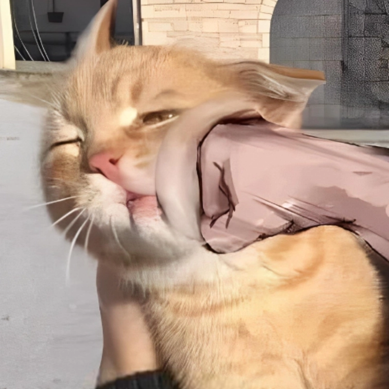  Tuyển chọn ảnh meme đánh nhau cực hài không thể bỏ lỡ 