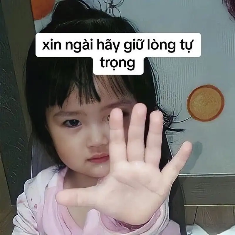 Cảm xúc ùa về khi nhìn thấy ảnh em bé meme đáng yêu