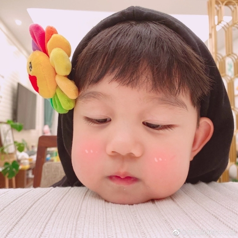  Tổng hợp ảnh meme dễ thương khiến bạn cười cả ngày dài 