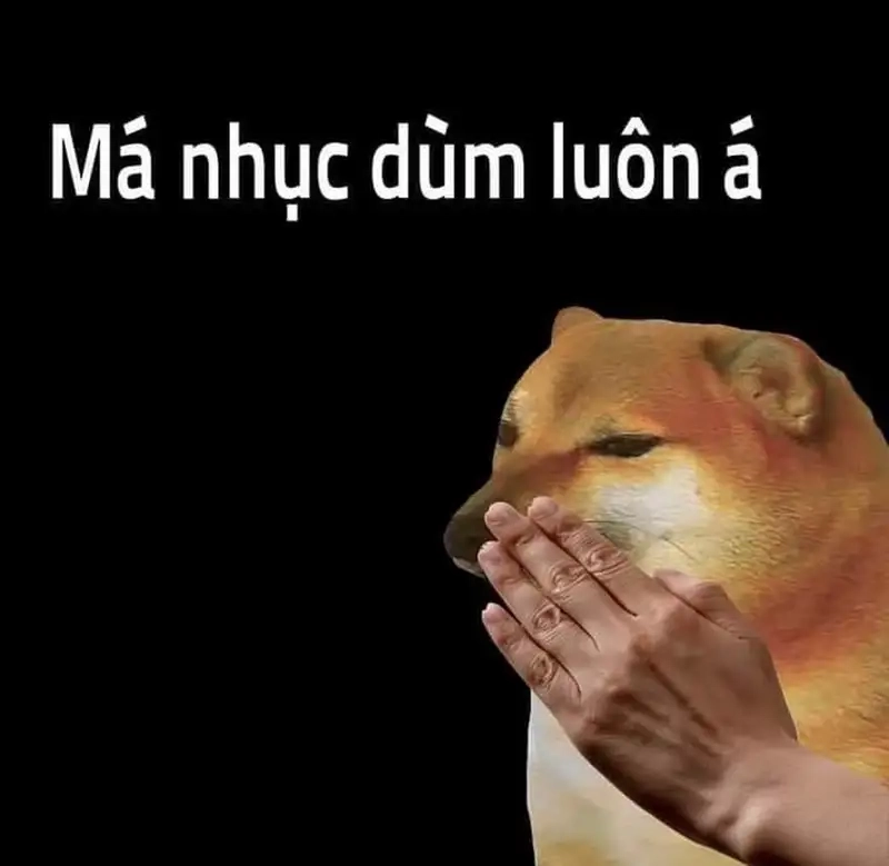 Đỉnh cao meme siêu ngầu cheems doge meme