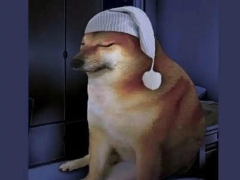 Lướt nhẹ với dogecoin meme gây bão cộng đồng mạng