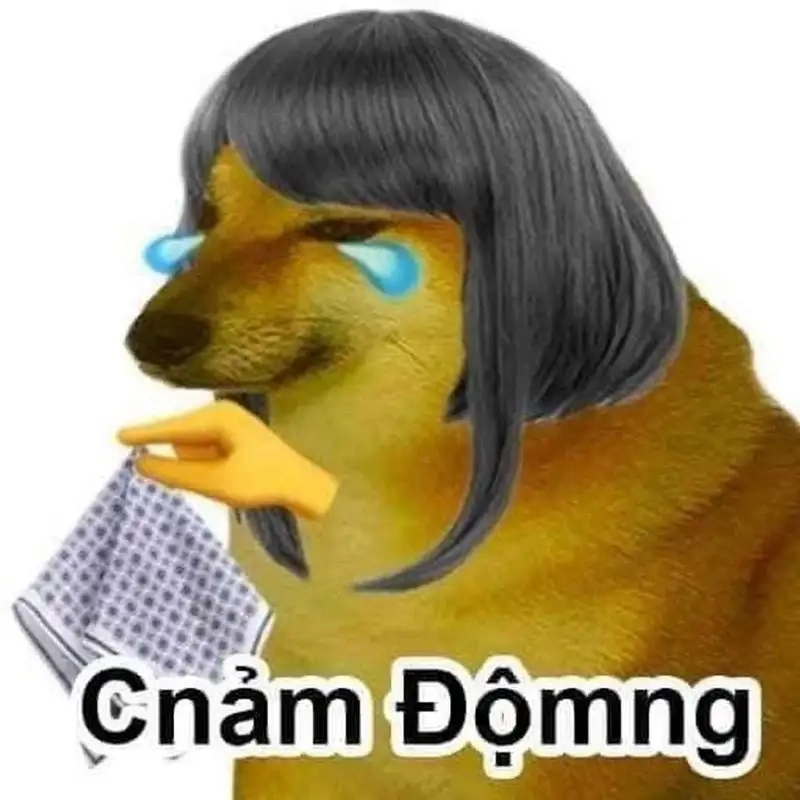 Bộ sưu tập meme dog smile gây nghiện