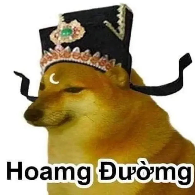 Cười ngất với loạt dog side eye meme bá đạo