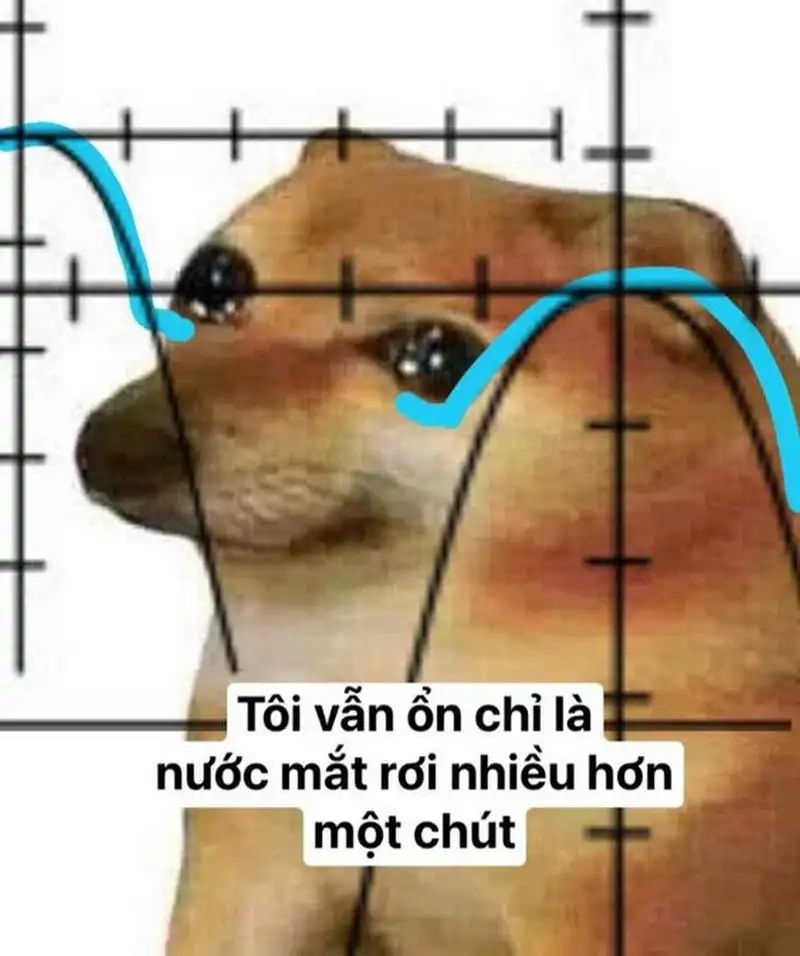 Ngộ nghĩnh vô cực với loading dog meme