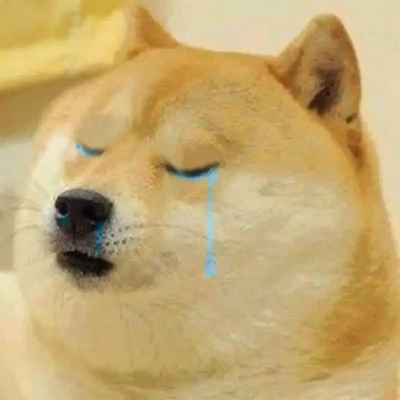 Meme chất lượng cao từ dog cute meme