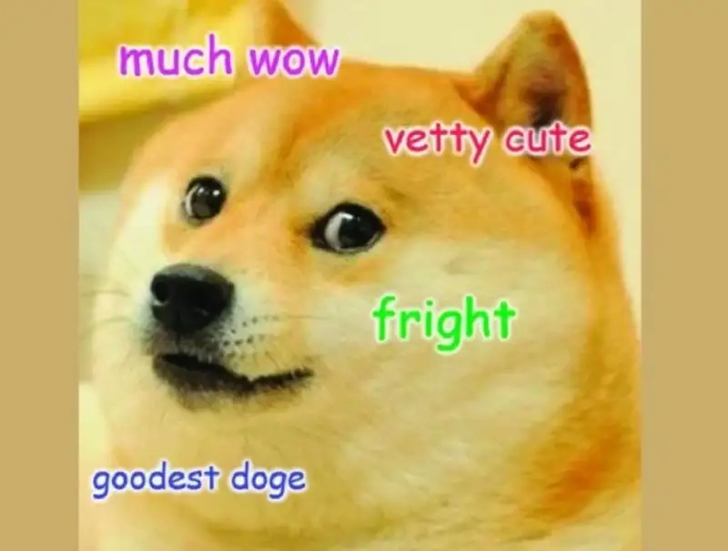 Hạnh phúc là có happy dog meme mỗi ngày