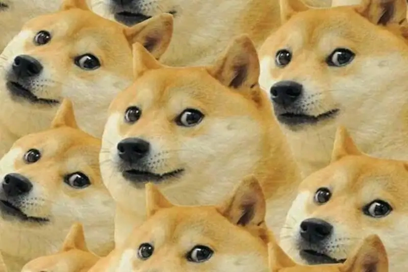 Cảm động với loạt meme dog sad buồn rười rượi