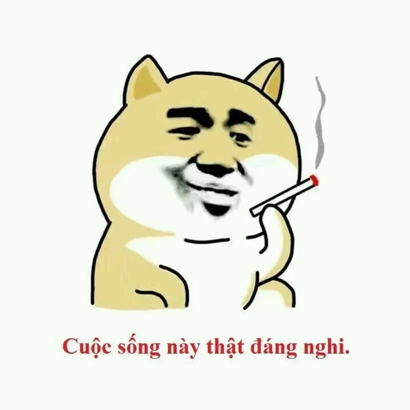 Siêu phẩm chế ảnh từ hình ảnh con chó cười đểu