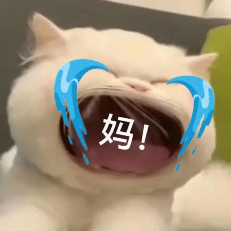 Lời thét trong im lặng của meme mèo gào khóc