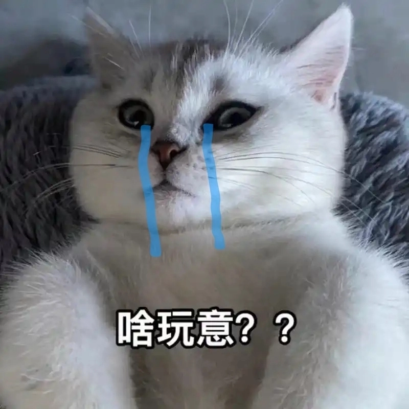 Lầy lội đúng chất Tết với mèo khóc thét meme mèo khóc thét