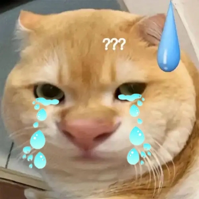 Đáng yêu đến rơi nước mắt với meme mèo khóc cute