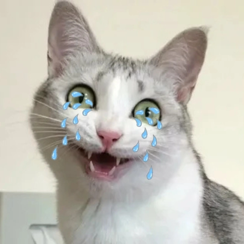Đồng cảm với khóc meme mèo buồn đầy tâm trạng
