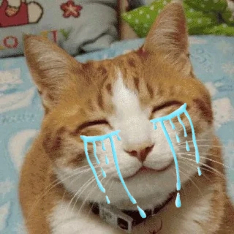 Muốn khóc theo meme mèo khóc like siêu đáng yêu