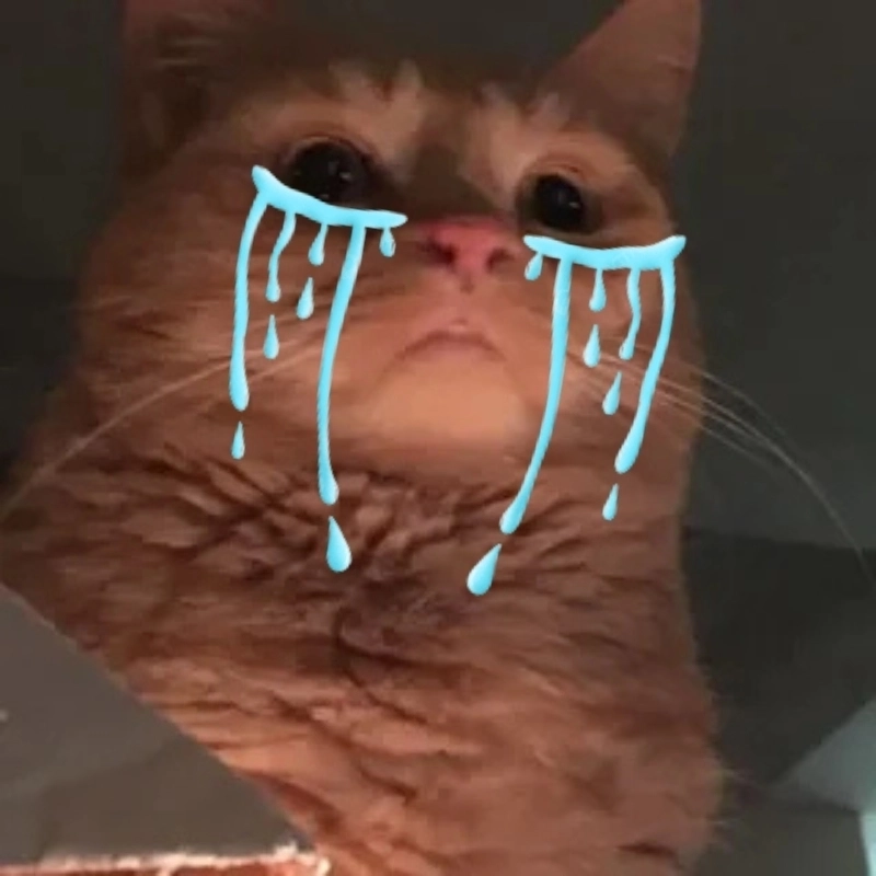 Tan chảy với đôi mắt buồn của con mèo khóc meme