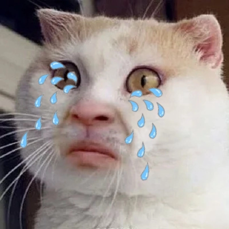Cảm xúc vỡ òa cùng ảnh mèo meme khóc cực chill