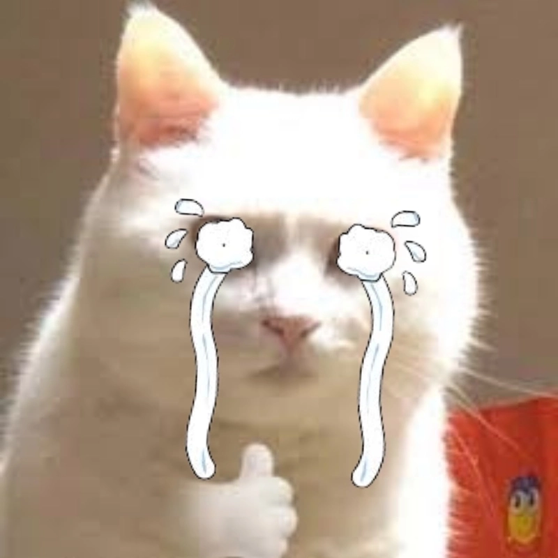 Ghim ngay loạt hình meme mèo khóc cực hút trend