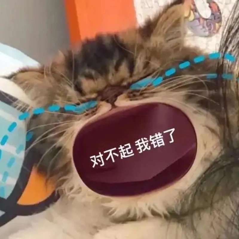 Nỗi buồn khó nói qua khóc meme mèo xin lỗi