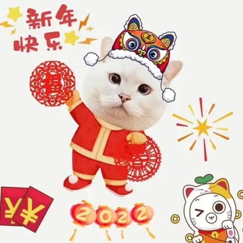 Cười xuyên Tết với loạt avt meme mèo tết siêu hài