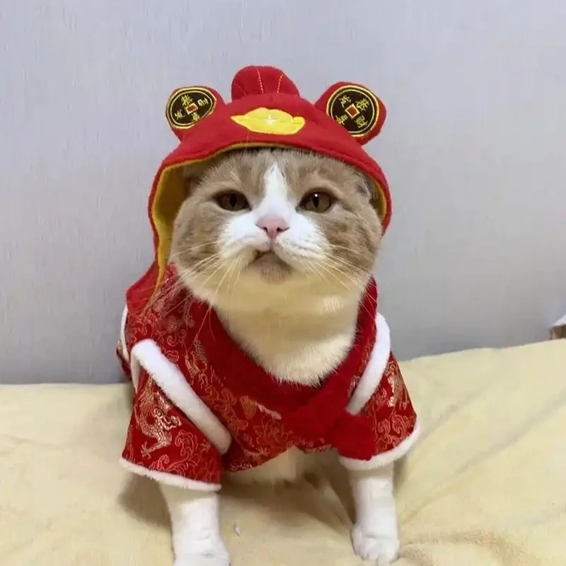 Loạt meme mèo ăn tết khiến bạn cười xuyên Tết