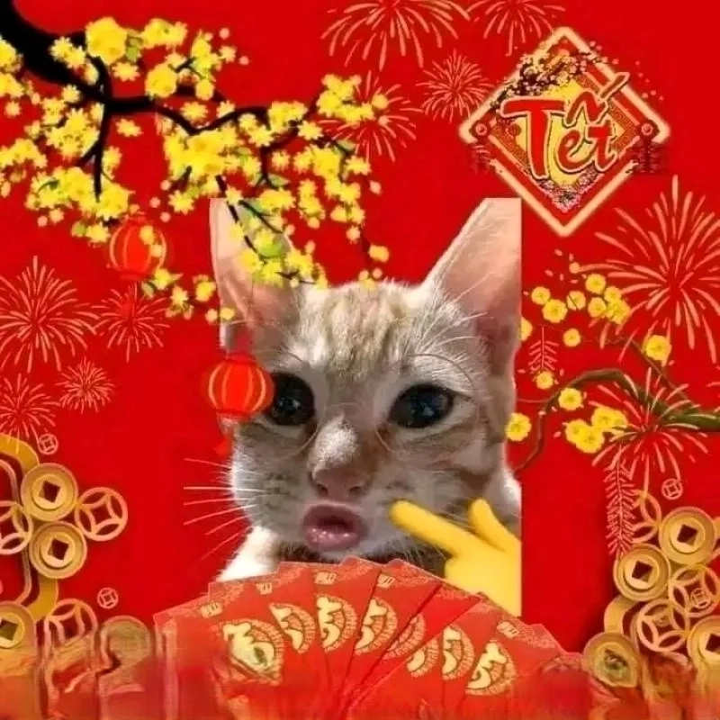 Không khí xuân tràn ngập cùng mèo ăn tết meme