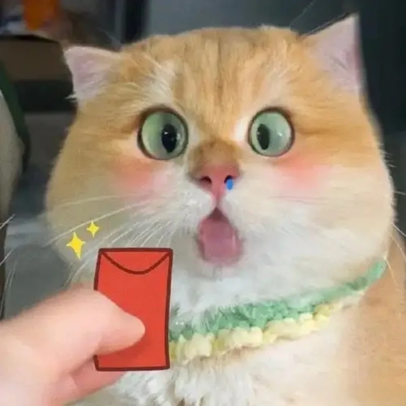 Cười bò với ảnh mèo meme tết đánh bài bá đạo
