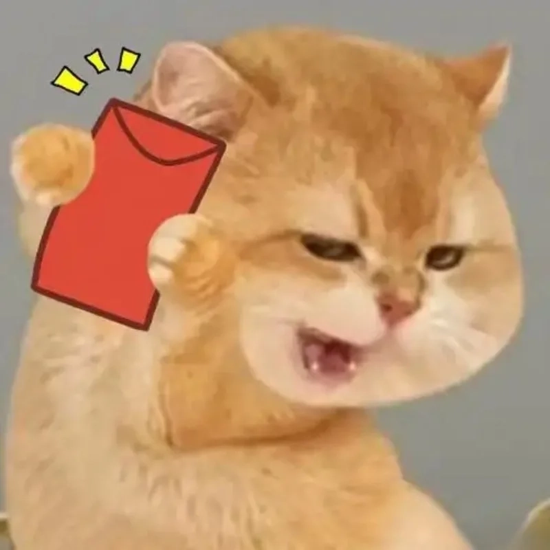 Xả stress đầu năm cùng meme mèo đánh bài tết