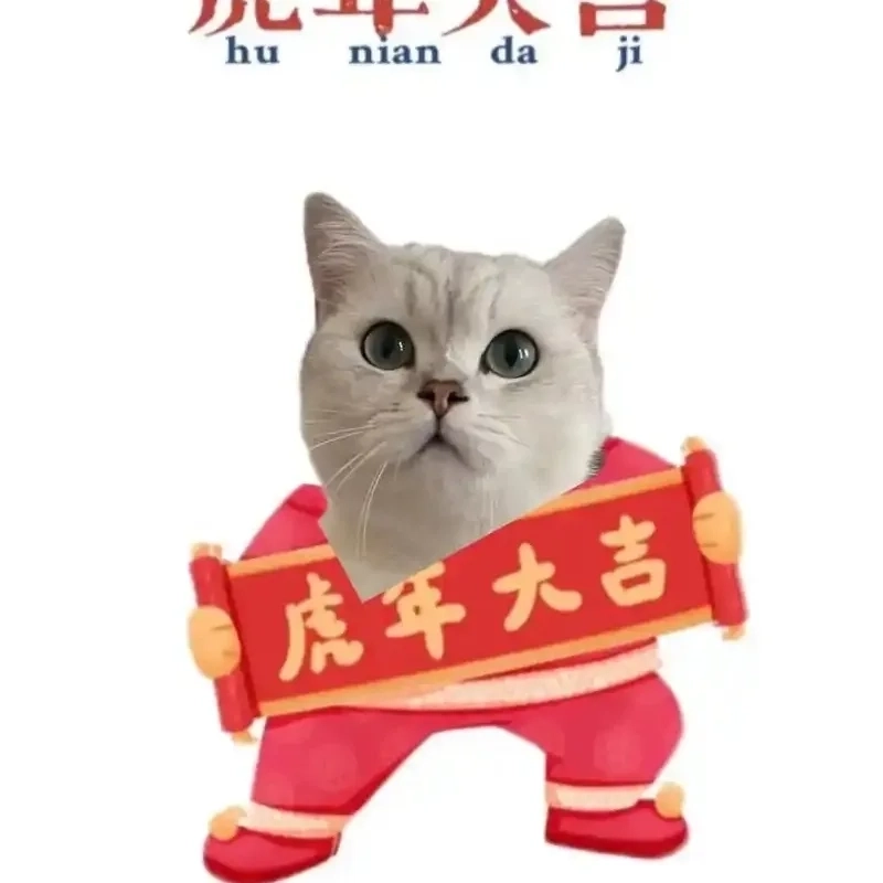 Siêu lầy với meme mèo tết hài đầu xuân năm mới