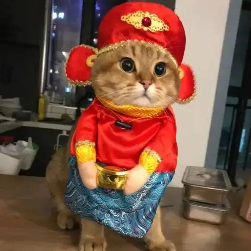 Khám phá ngay meme tết mèo siêu hot
