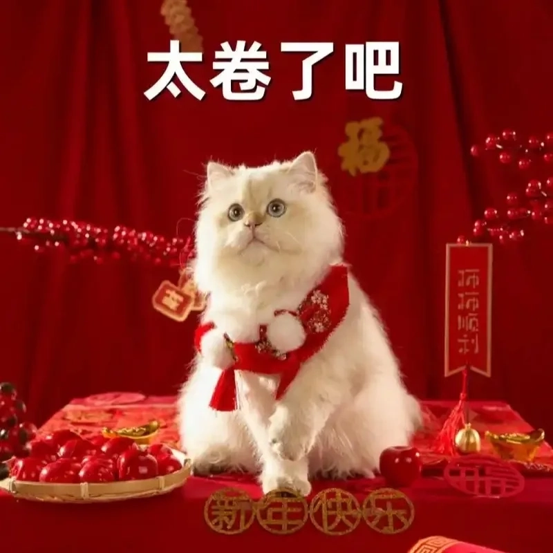 Đổi gió Tết này với hình mèo meme tết cực độc